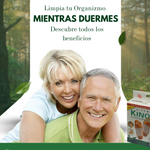 PACK 60 Parches Desintoxicantes Kinoki®