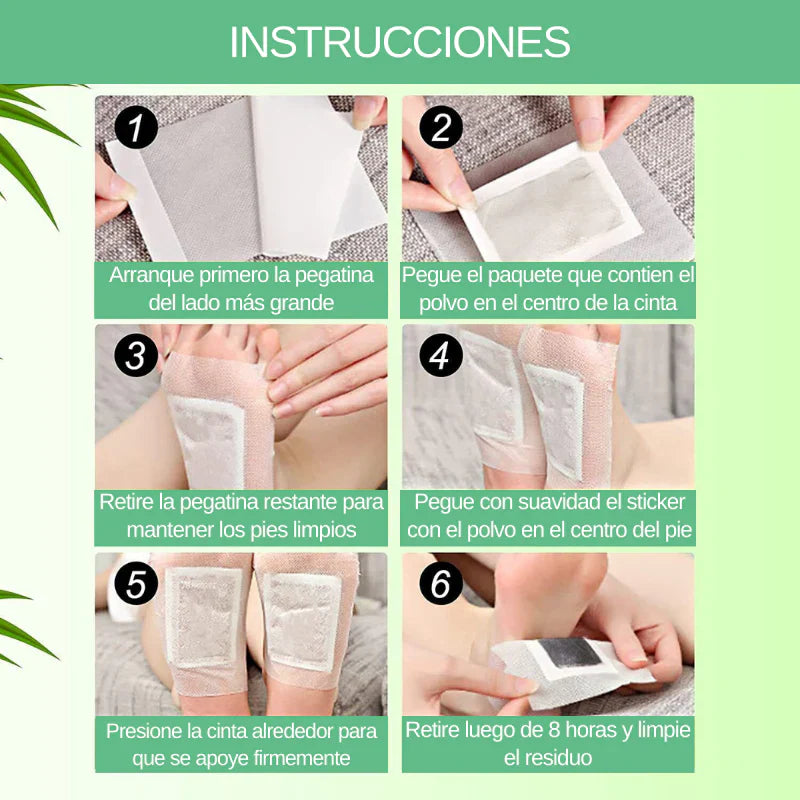 PACK 60 Parches Desintoxicantes Kinoki®